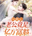 《闪婚后，老公竟是亿万富翁》舒柠宫晏丞小说完整章节目录阅读