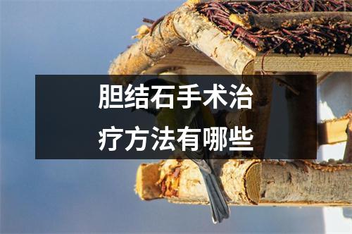 胆结石手术治疗方法有哪些