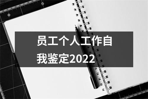 员工个人工作自我鉴定2022