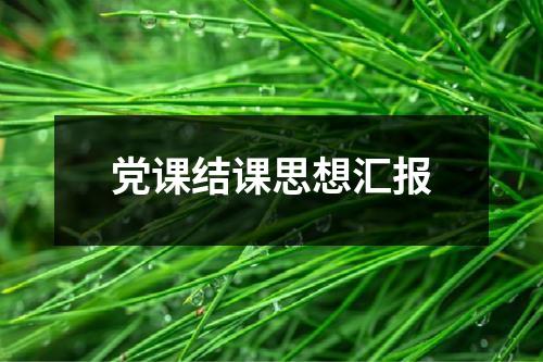 党课结课思想汇报