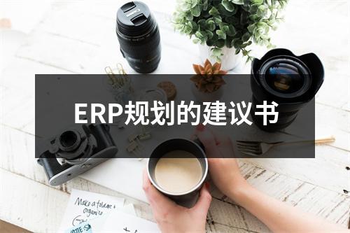 ERP规划的建议书