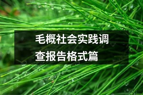 毛概社会实践调查报告格式篇