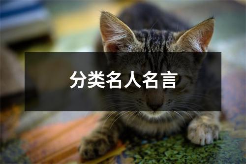 分类名人名言