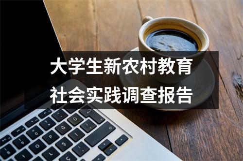 大学生新农村教育社会实践调查报告