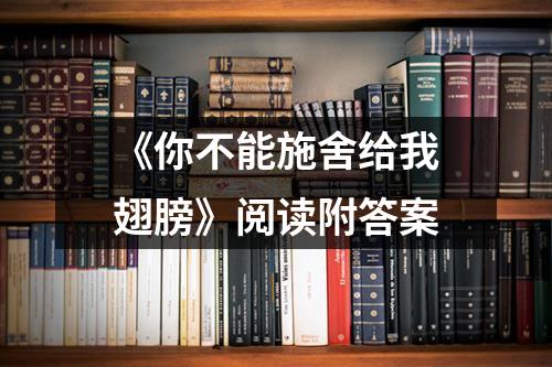 《你不能施舍给我翅膀》阅读附答案