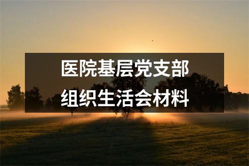 医院基层党支部组织生活会材料