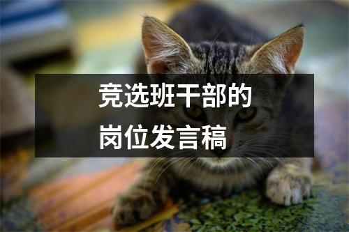 竞选班干部的岗位发言稿