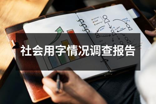 社会用字情况调查报告