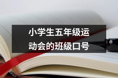 小学生五年级运动会的班级口号