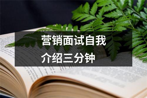 营销面试自我介绍三分钟