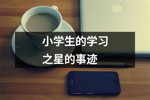 小学生的学习之星的事迹