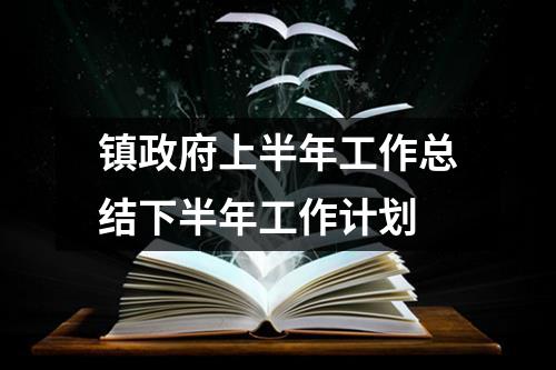 镇政府上半年工作总结下半年工作计划