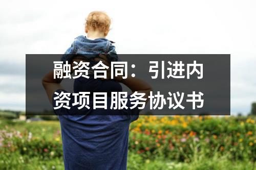 融资合同：引进内资项目服务协议书