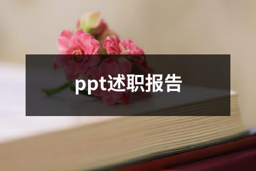 ppt述职报告