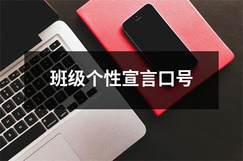 班级个性宣言口号