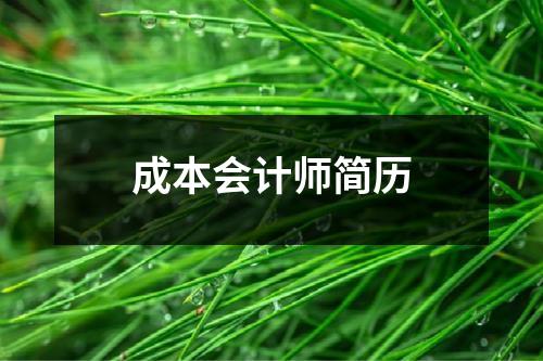 成本会计师简历