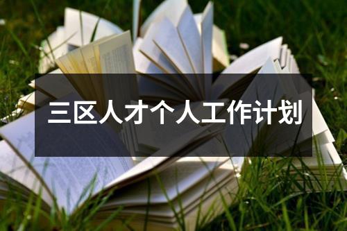 三区人才个人工作计划