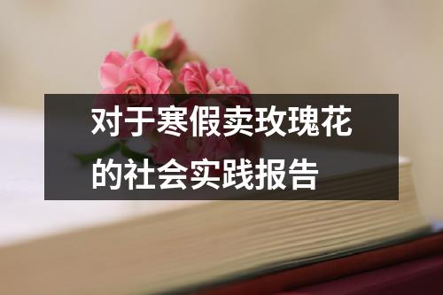 对于寒假卖玫瑰花的社会实践报告