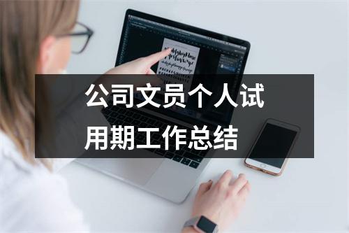 公司文员个人试用期工作总结