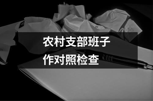 农村支部班子作对照检查