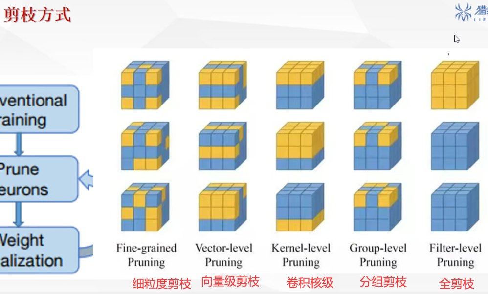 剪枝方式间的图片差异