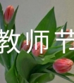 教师节致老师的一封信