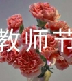 教师节致老师的一封信